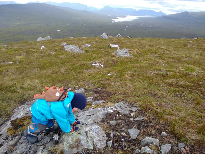 An Outdoors Family - Carn Dearg, Corrour wild camping weekend